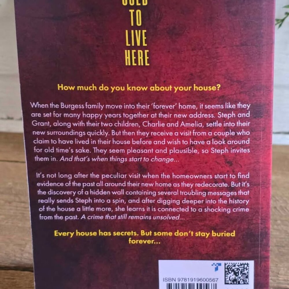 We Used to Live Here by Daniel Hurst Thriller Psychological Paperback Book - Picture 5 of 7